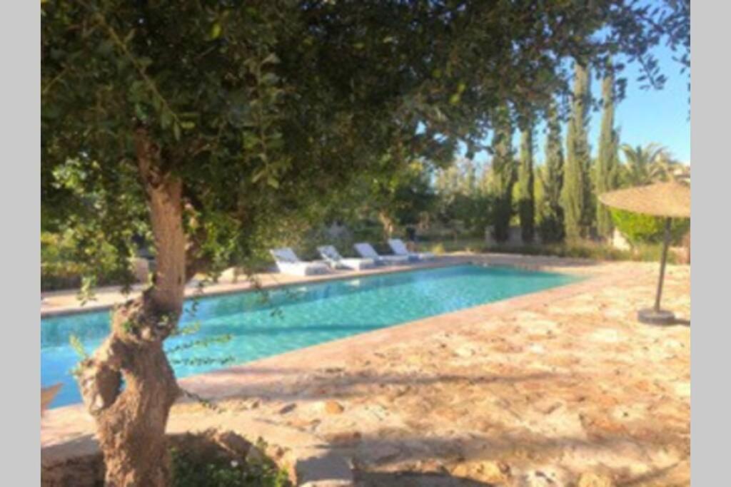 Dar Maha - Amazing - Pool 15x5m Be Heated *