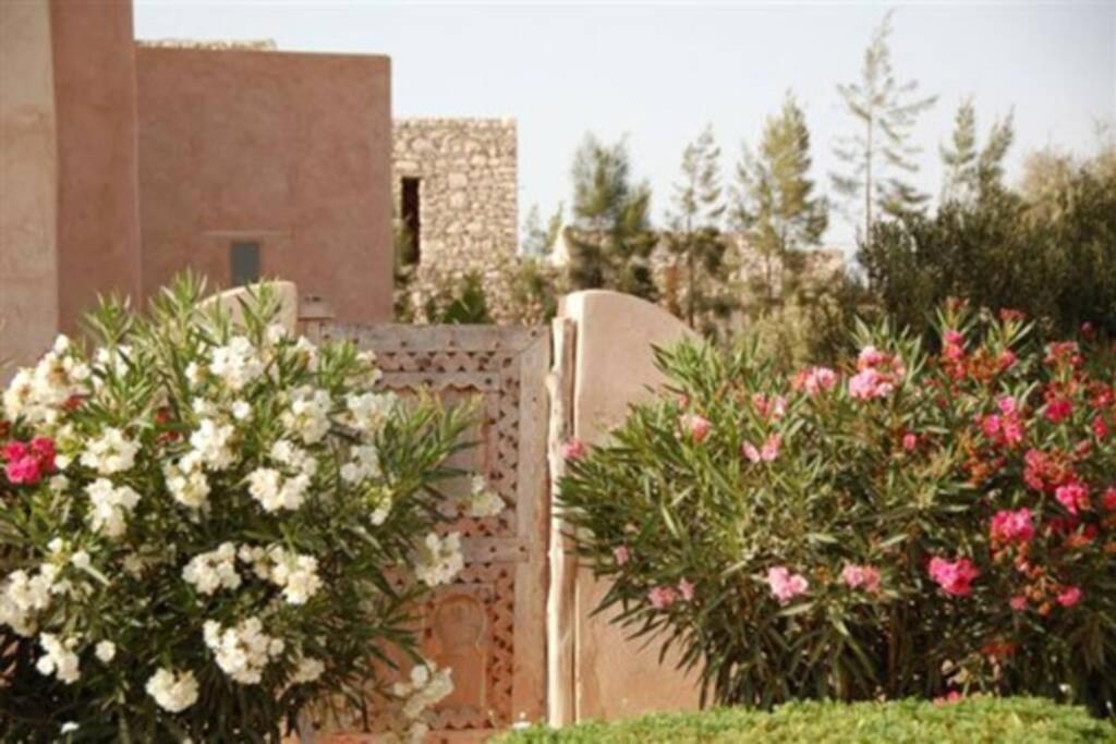 Dar Maha - Amazing - Pool 15x5m Be Heated Villa