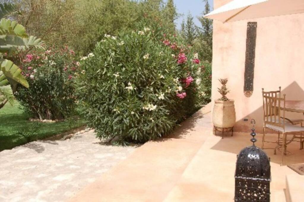 Villa Dar Maha - Amazing - Pool 15x5m Be Heated Esauira