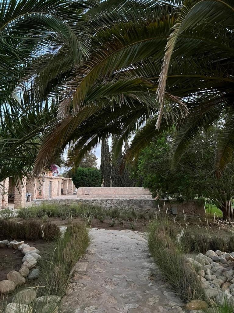 Dar Maha - Amazing - Pool 15x5m Be Heated * Esauira
