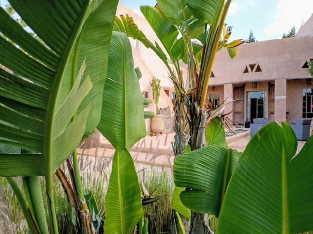 Dar Maha - Amazing - Pool 15x5m Be Heated Villa *