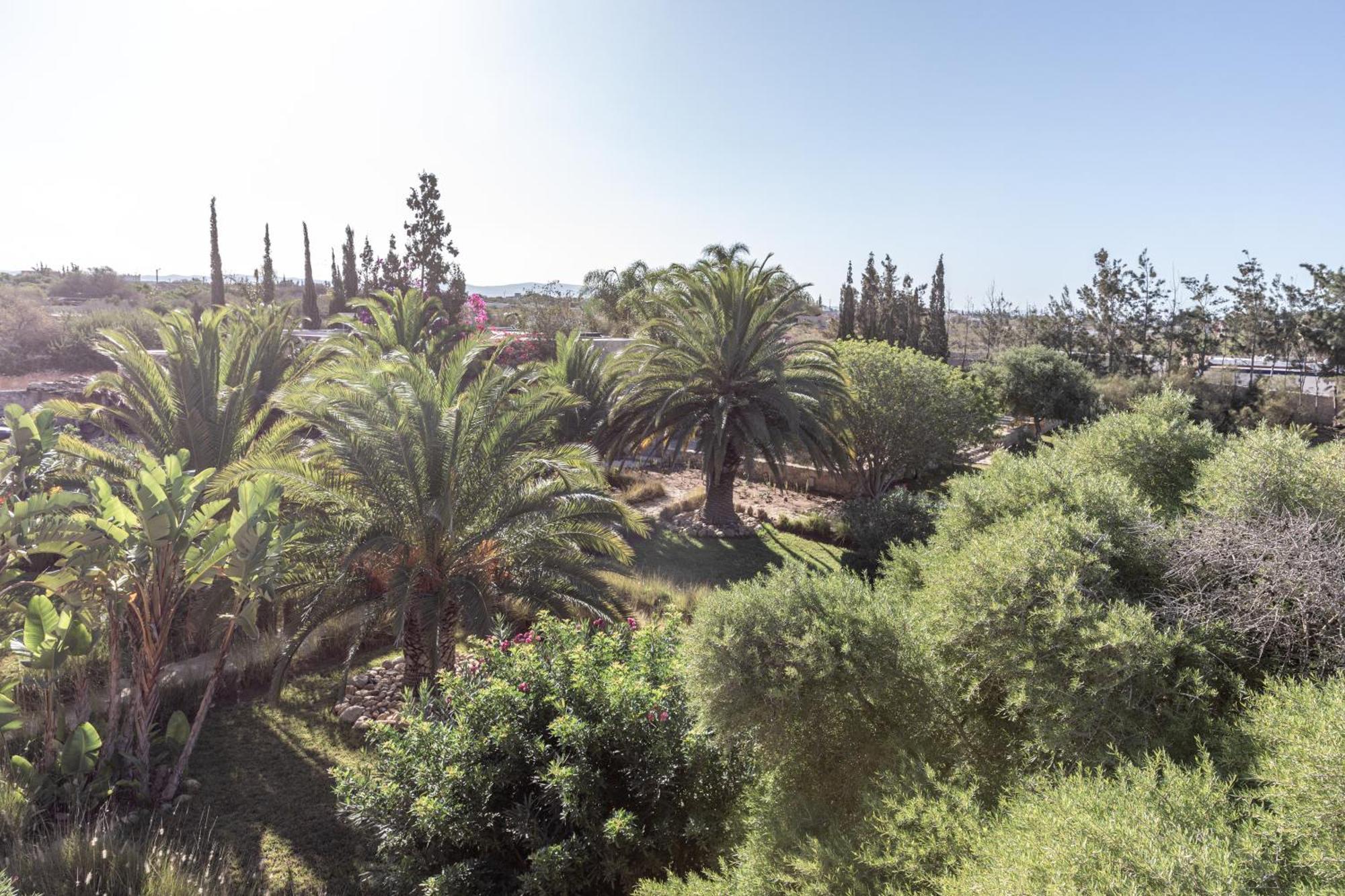 Dar Maha - Amazing -heated Pool 15x5m Essaouira